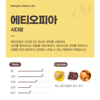 파란수염커피 에티오피아 시다모 G2