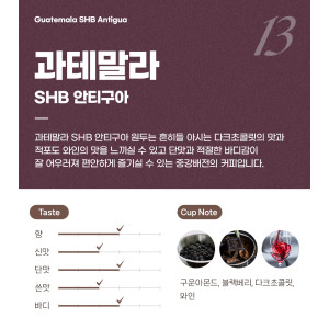 파란수염커피 과테말라 안티구아 SHB