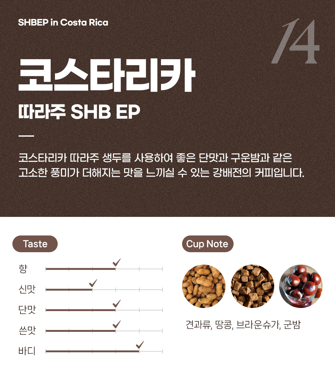 파란수염커피 코스타리카 따라주 SHB EP