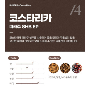 파란수염커피 코스타리카 따라주 SHB EP