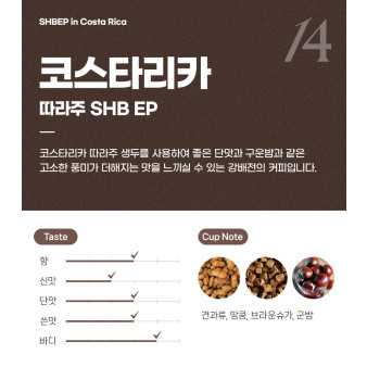 파란수염커피 코스타리카 따라주 SHB EP