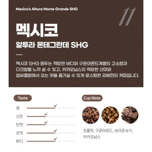 파란수염커피 멕시코 알투라 몬테그란데 SHG